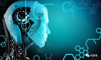 东阳互联网销售 线上线下融合的销售新趋势